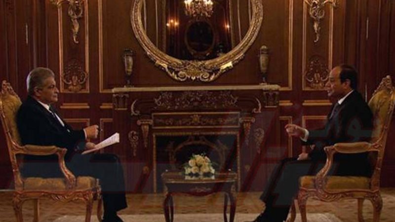 السيسي: الأجهزة الرقابية