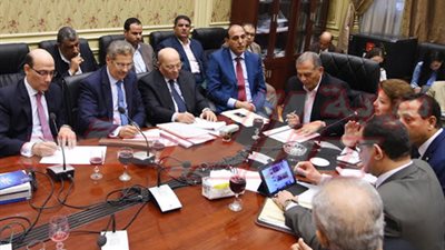 السادات: اللجنة تناقش تقرير حالة حقوق الإنسان في مصر الأسبوع المقبل