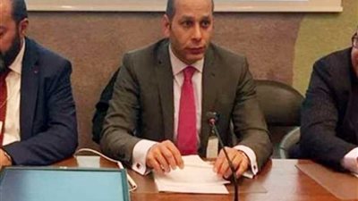 ائتلاف نزاهة الانتخابات: إقبال كثيف في القاهرة والشرقية والإسكندرية