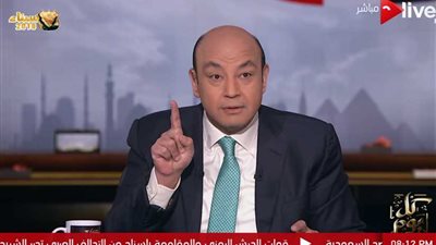 عمرو أديب: المعركة ليست في اسم الفائز بالانتخابات؟ ولكن (فيديو)