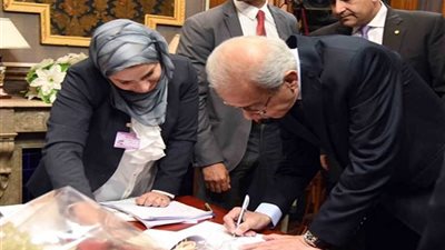 الحكومة في اللجان