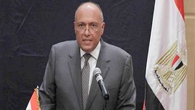 شكري يهنئ وزير خارجية ألمانيا الجديد ويناقش معه العلاقات الثنائية