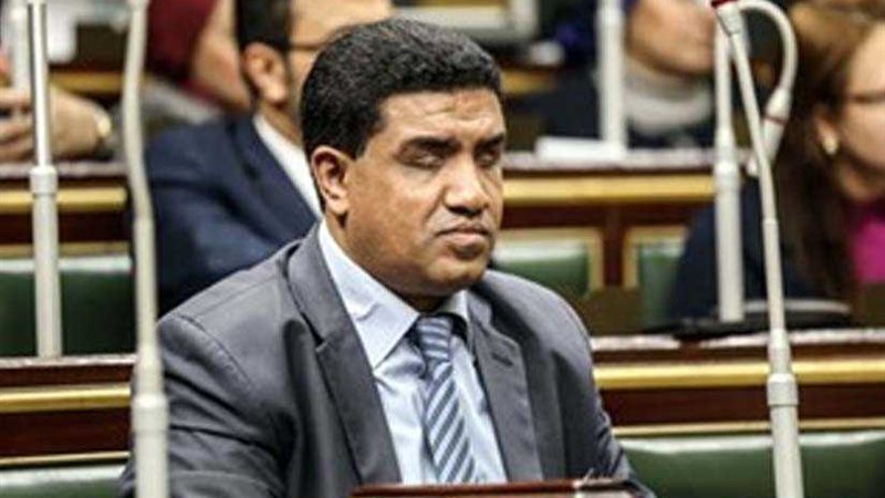 النائب خالد حنفى