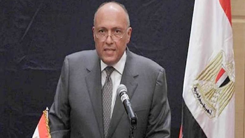 شكري يهنئ وزير خارجية