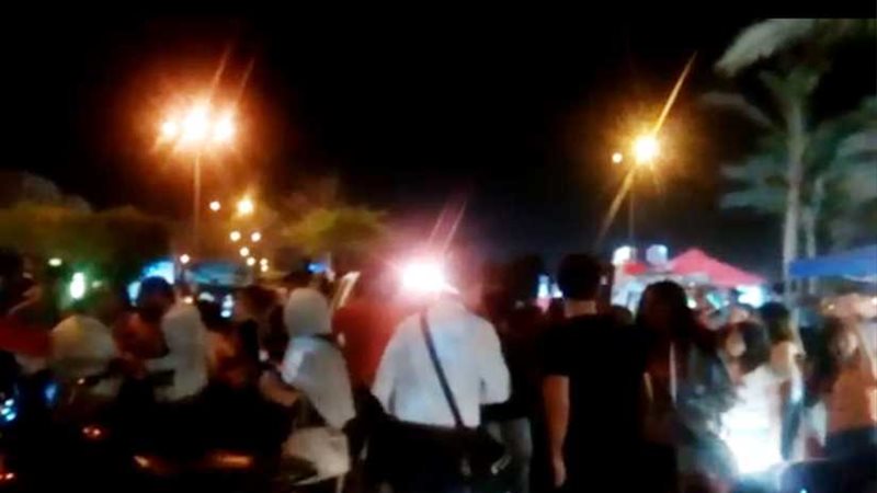 بالفيديو.. توافد