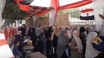 بالفيديو.. السيدات يتصدرن المشهد بالانتخابات في حلوان