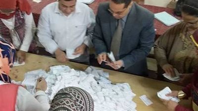 1733 صوتا للسيسي مقابل 83 لموسى بلجنة 54 بالمنيا