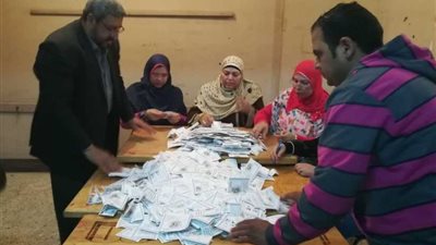 1733 صوتا للسيسي مقابل 83 لموسى بلجنة 54 بالمنيا