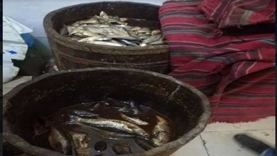 تكثيف حملات المراقبة الغذائية بالإسكندرية