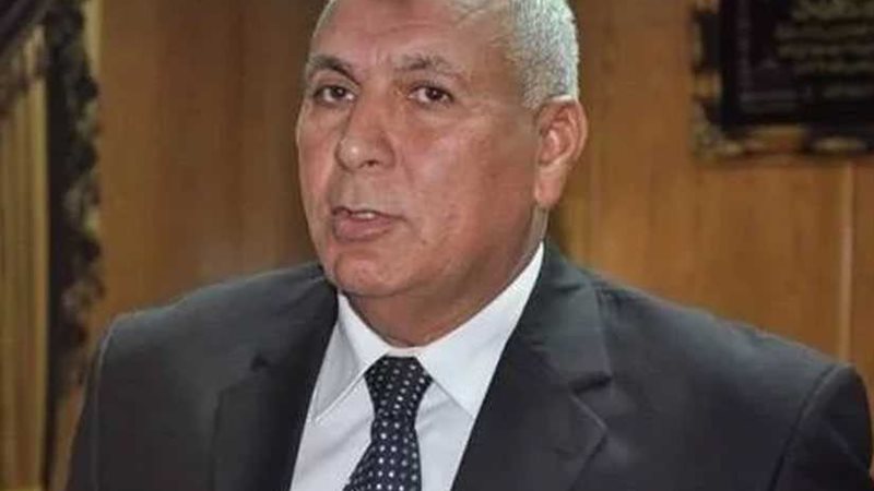 محافظ الوادي الجديد: