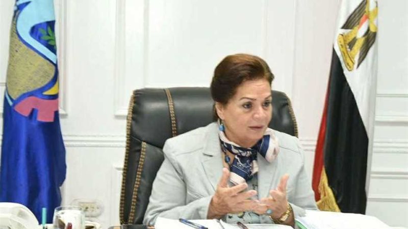 محافظ البحيرة تشيد