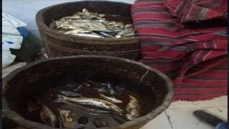 تكثيف حملات المراقبة