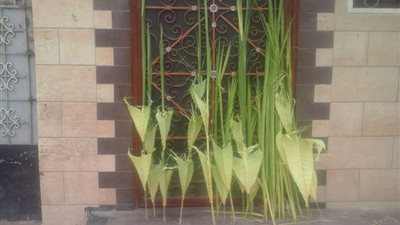 كنائس بني سويف تحتفل بأحد 