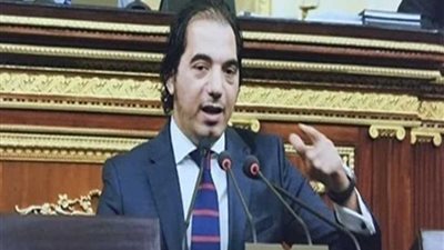 برلماني: حكم المعاشات يستلزم لقاء 