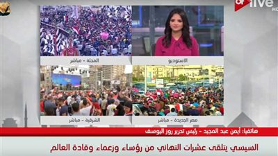 أيمن عبد المجيد: المصريون وجهوا رسالة للعالم أننا نسير على خطى ديمقراطية (فيديو)