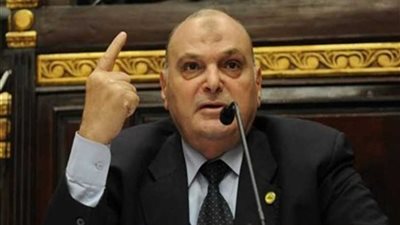 وزير الخارجية: مصر قادرة على مواجهة كل التحديات في ظل قيادة سياسية رشيدة