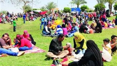 الدقهلية تستعد لاستقبال 