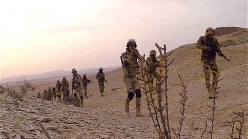 بيان رقم (17) من