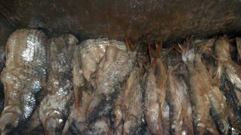 مباحث التموين: 550