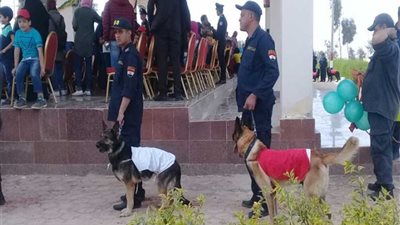 مسابقة بين الكلاب البوليسية على تحطيم البالونات في حفل يوم اليتيم