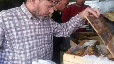 إعدام كميات من الأغذية الفاسدة بالمنصورة