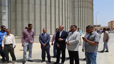 بدء توريد القمح بصوامع قنا (صور)