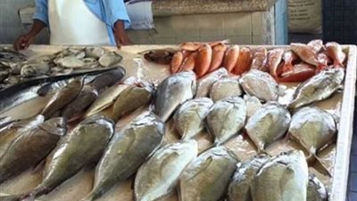 أسيوط تكثف من حملاتها على أسواق بيع اللحوم والأسماك استعدادًا لشم النسيم