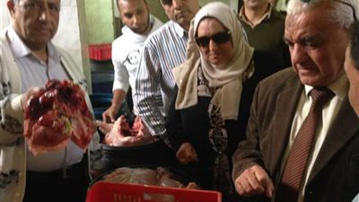 إعدام 11 طن دواجن وأسماك فاسدة في شبرا الخيمة.. صور