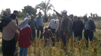 بالصور..حملة لنشر الوعى بزراعة محاصيل المستقبل بالبحيرة