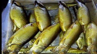 حملات مكثفة على الأسواق من صحة القاهرة قبل شم النسيم