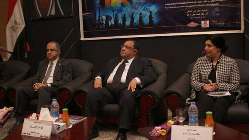 رئيس ائتلاف دعم مصر