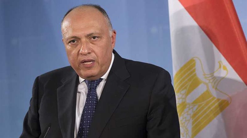 وزيرا الخارجية والري