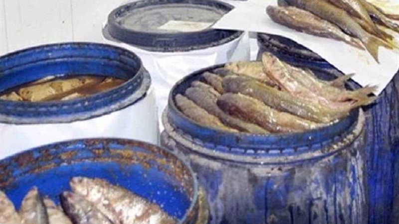 ضبط كميات من الـفسيخ