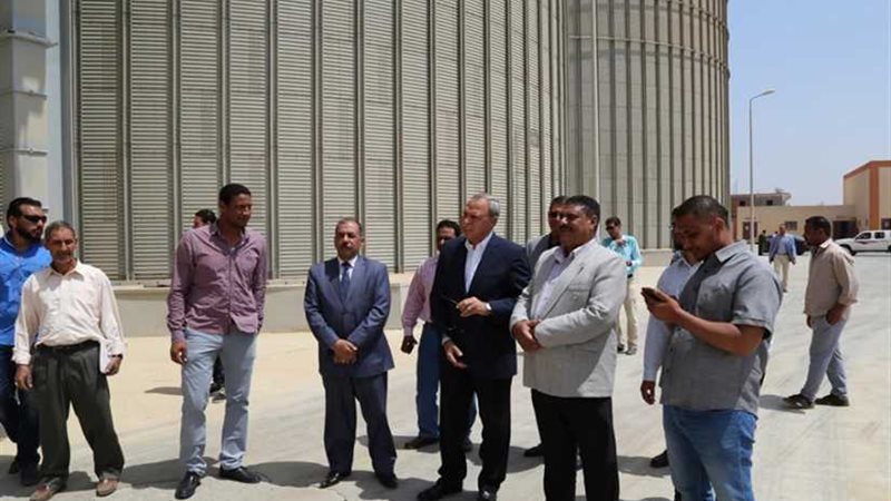 بدء توريد القمح بصوامع