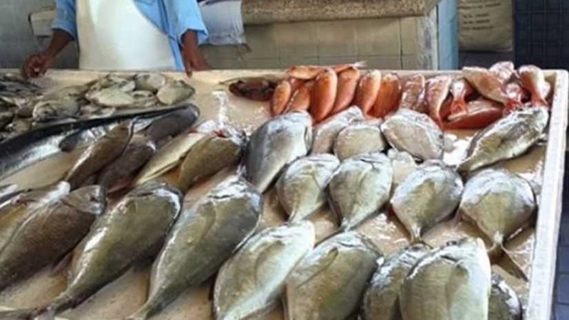 أسيوط تكثف من حملاتها