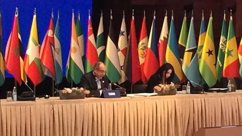 إدريسيلقي كلمتي مصر