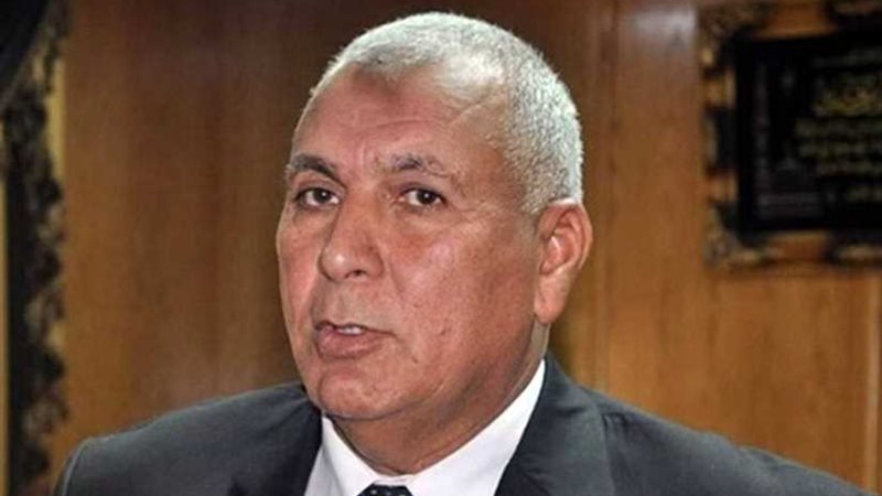 محافظ الوادي الجديد: