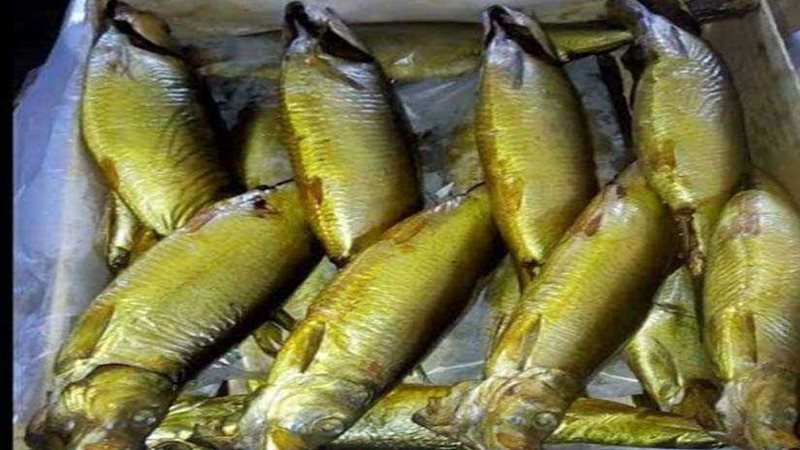 حملات مكثفة على الأسواق