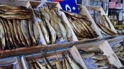 بالأرقام.. تعرف على حجم استيراد مصر من الرنجة والسردين والأسماك