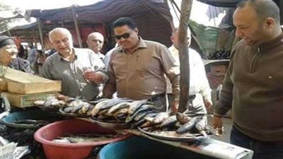 إعدام طن فسيخ وسردين بالمنوفية