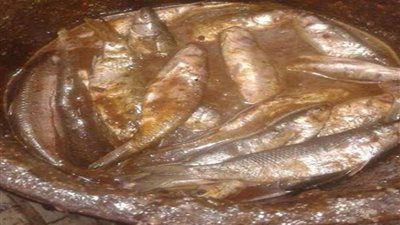 ضبط نصف طن فسيخ غير صالح للاستهلاك الأدمى بالبحيرة