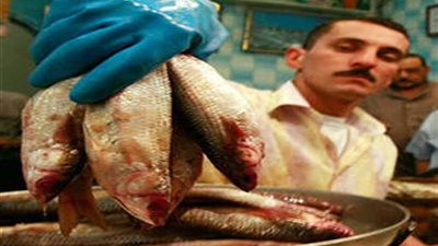 16 معلومة لتناول الأسماك المملحة بأمان