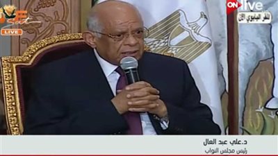 علي عبد العال: حضارتنا لم تفرق بين مسلم أو مسيحي