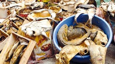 إعدام 3 أطنان فسيخ فاسد بالمنوفية