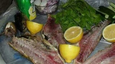 المصريون على توتير: 