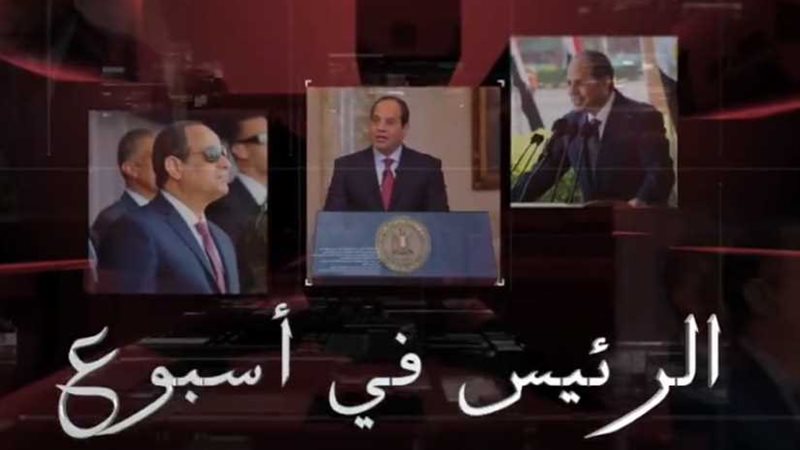 أنشطة السيد الرئيس