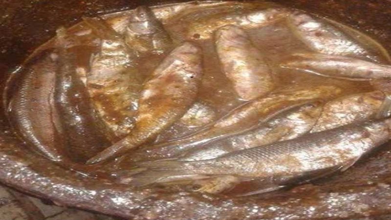 ضبط نصف طن فسيخ غير