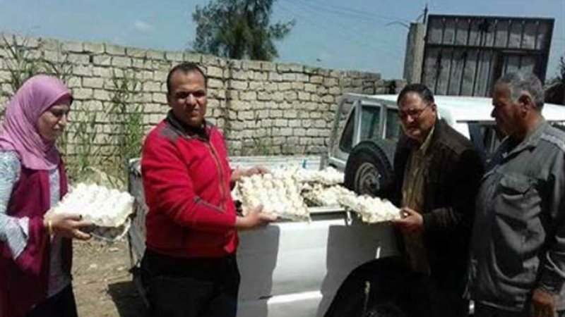 ضبط 4000 بيضة فاسدة