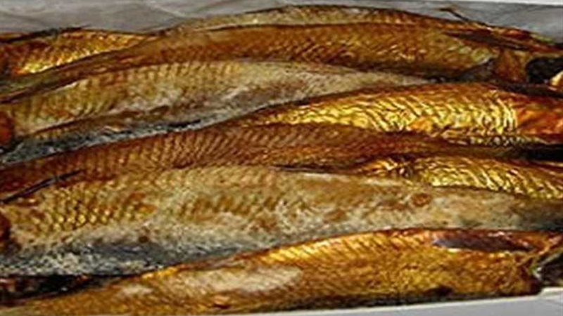 ضبط رنجة فاسدة بالمنوفية