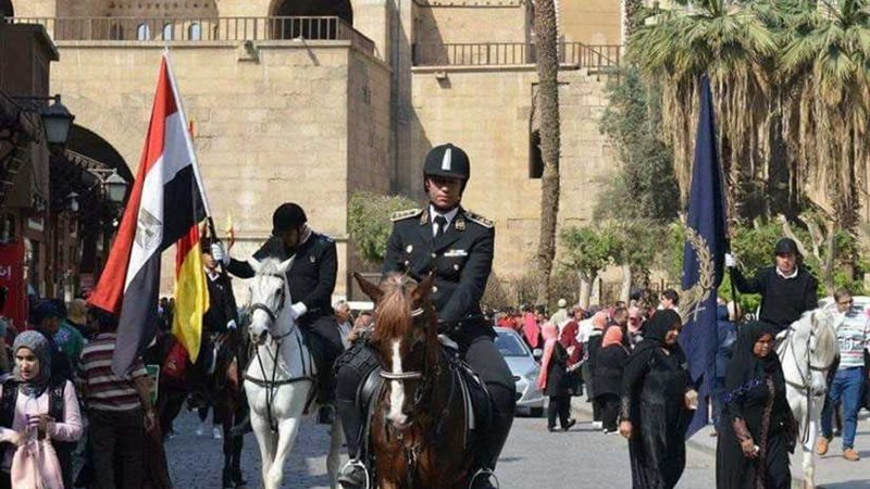 قطاع الخيالة ينظم